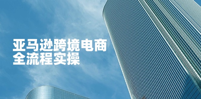 (14252期)亚马逊跨境电商全流程实操,教你从零开始,掌握店铺运营与广告技巧-源创文化-轻创终点站
