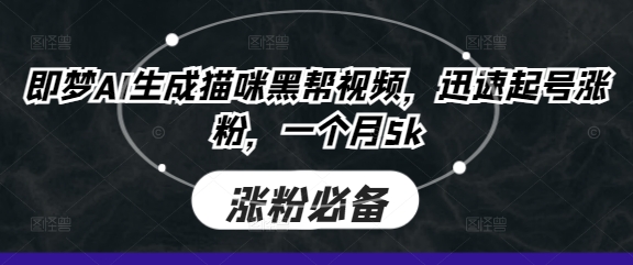 即梦AI生成猫咪黑帮视频,迅速起号涨粉,一个月5k-源创文化-轻创终点站