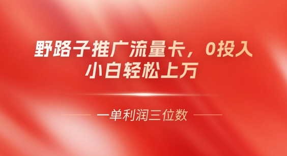 0门槛推广流量卡,一单收益上百,0投入,小白月入过W-源创文化-轻创终点站